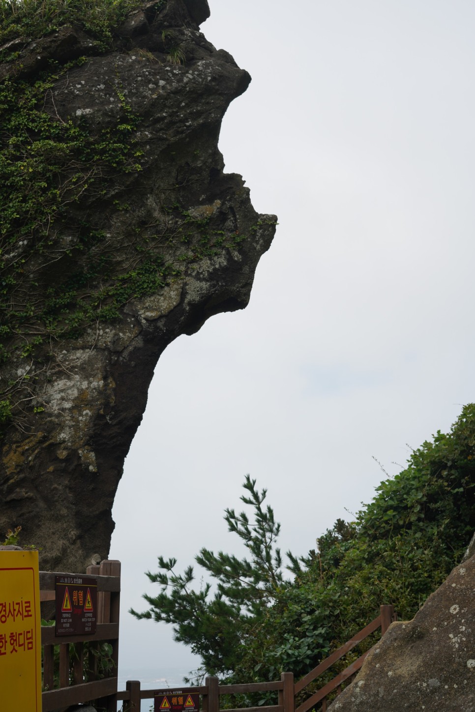 제주 성산 가볼만한곳 제주도 관광지 핫플 명소 5