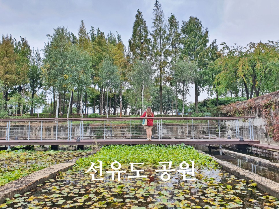 서울 데이트 가볼만한곳 선유도공원 양화한강공원