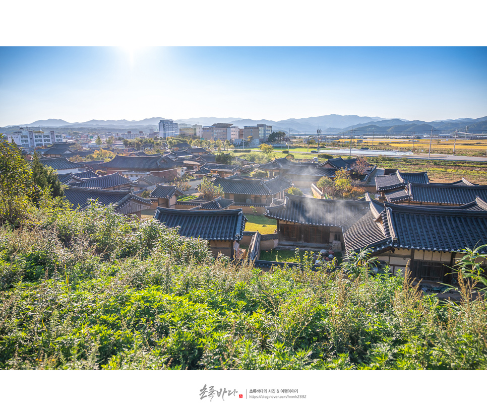 경북 아이와 가볼만한곳 경북 영덕 여행 괴시리전통마을