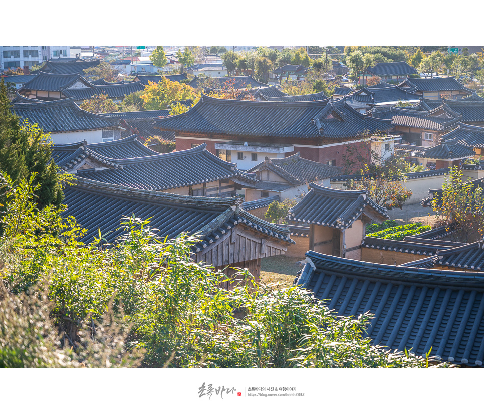 경북 아이와 가볼만한곳 경북 영덕 여행 괴시리전통마을