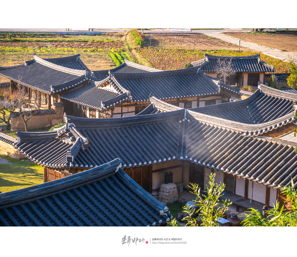 경북 아이와 가볼만한곳 경북 영덕 여행 괴시리전통마을