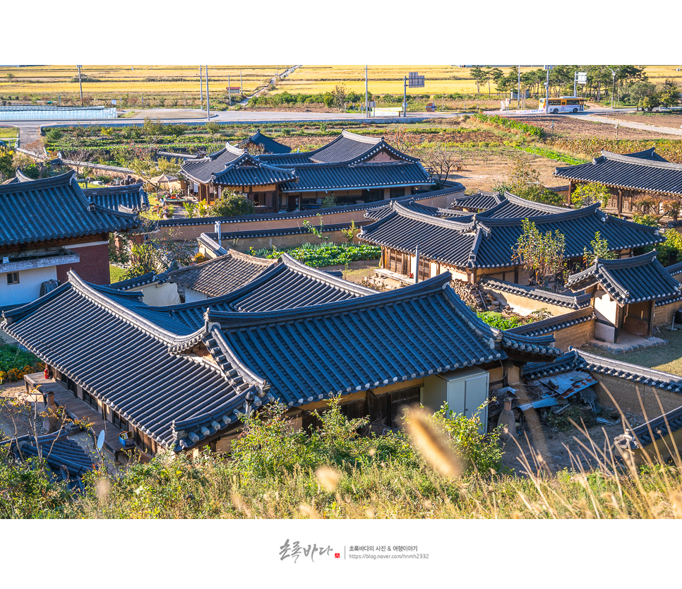 경북 아이와 가볼만한곳 경북 영덕 여행 괴시리전통마을