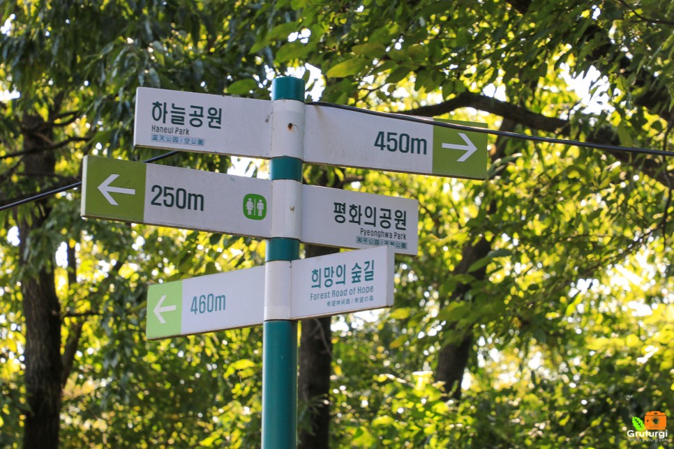 혼자 서울여행 코스 서울 억새명소 상암 하늘공원 서울 축제