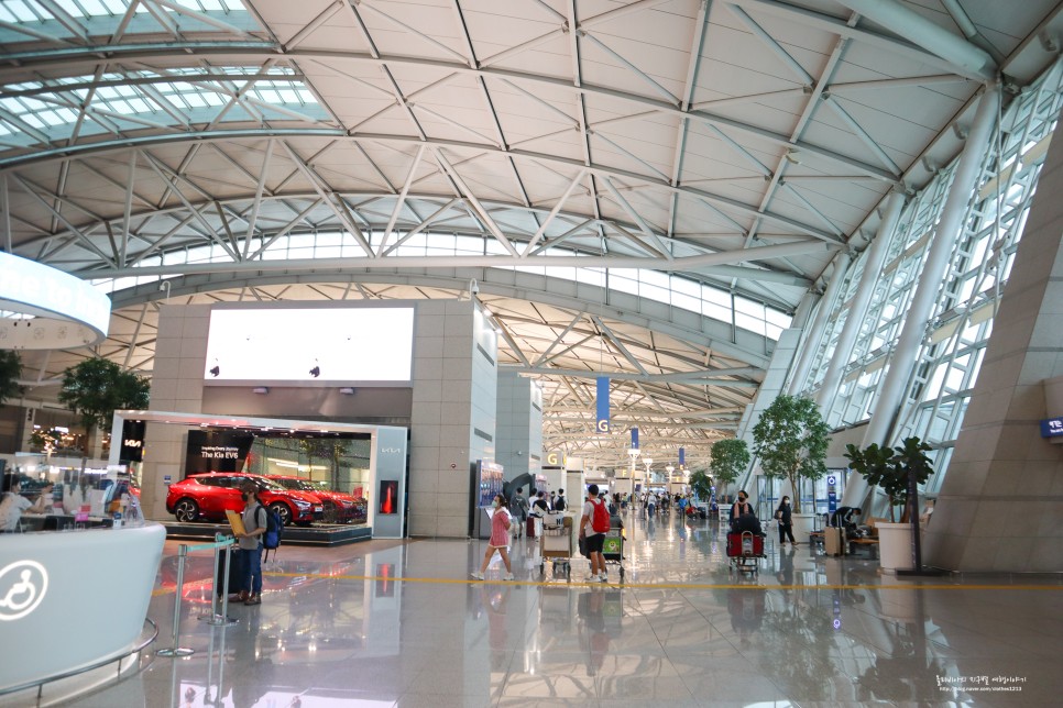 인천공항 라운지 카드 마티나 vs 스카이허브 출국 후기