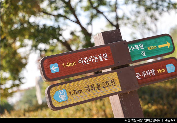 인천대공원 단풍 명소 가을 여행 나들이 가을 여행지 추천
