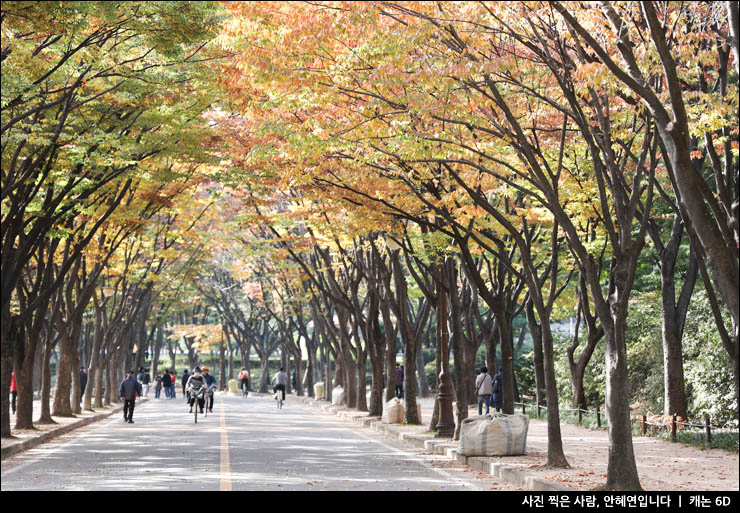 인천대공원 단풍 명소 가을 여행 나들이 가을 여행지 추천