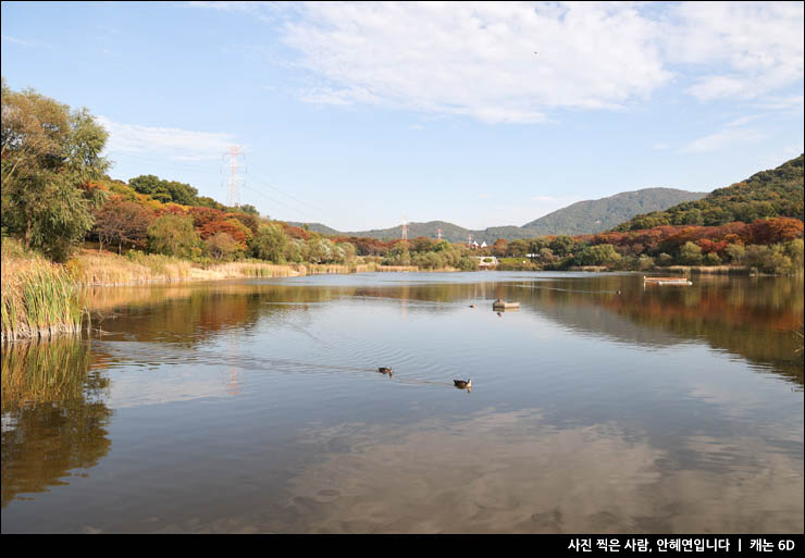 인천대공원 단풍 명소 가을 여행 나들이 가을 여행지 추천