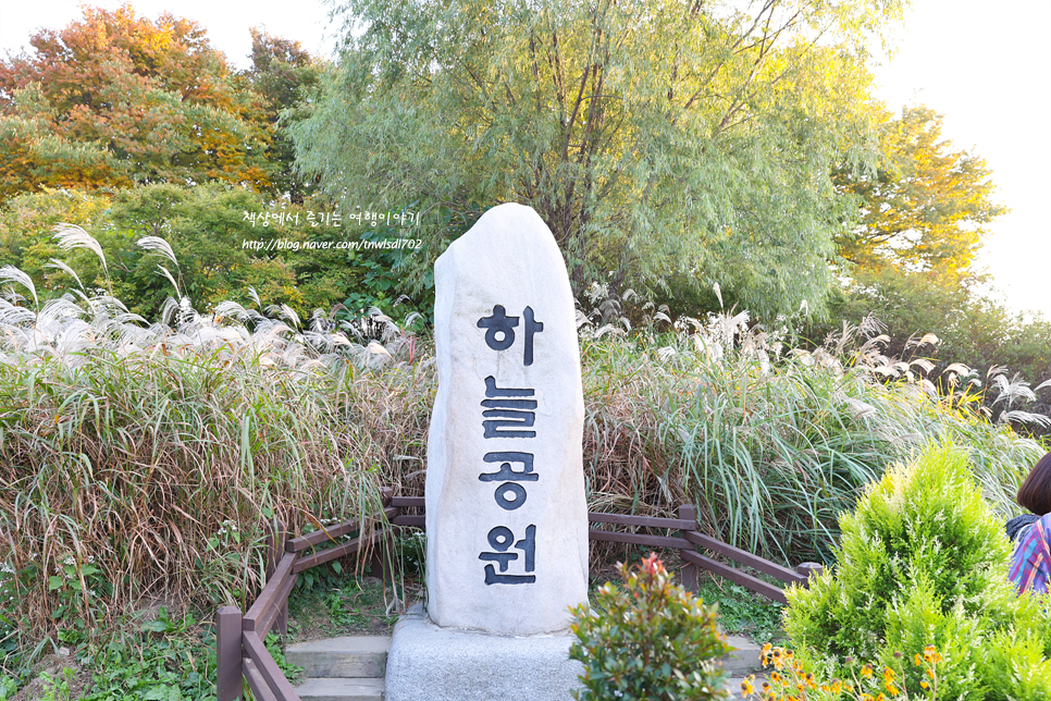 서울 상암 하늘공원 억새 가을 축제, 일몰 명소, 맹꽁이열차