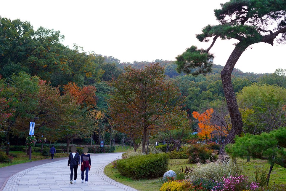 서울 가볼만한곳 공원 추천 서울 산책 북서울꿈의숲