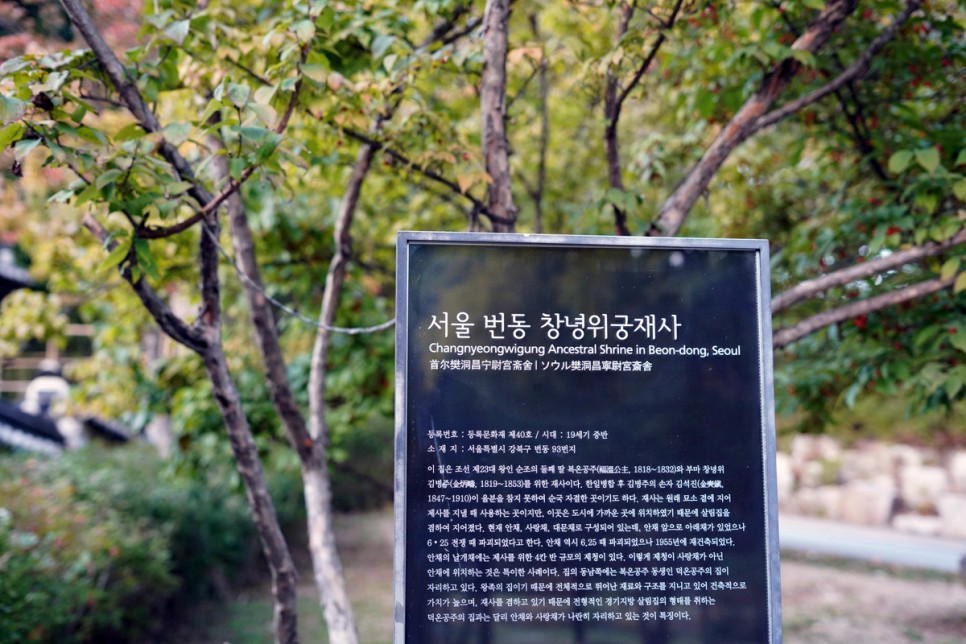 서울 가볼만한곳 공원 추천 서울 산책 북서울꿈의숲