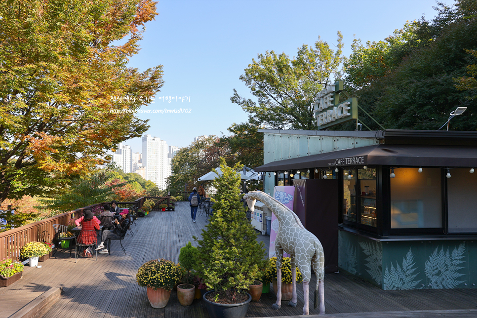 서울 가을 가볼만한곳 북서울 꿈의숲 나들이, 전망대