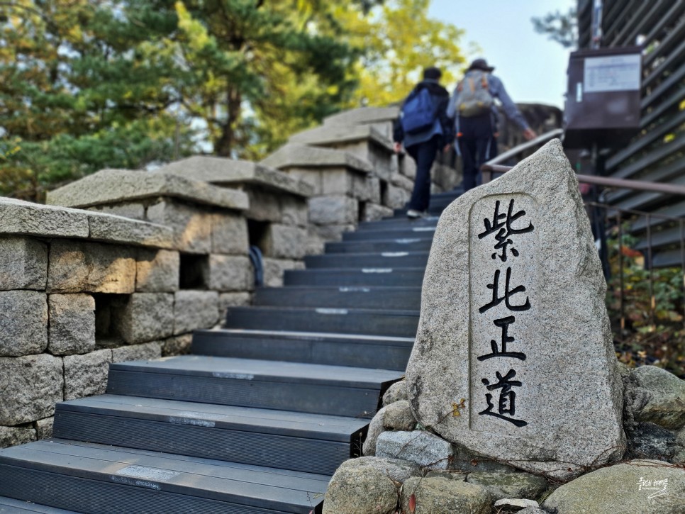 대구 근교 가볼만한곳 안동 먹거리 구시장 찜닭골목 & 안동 볼거리 신세동벽화마을!