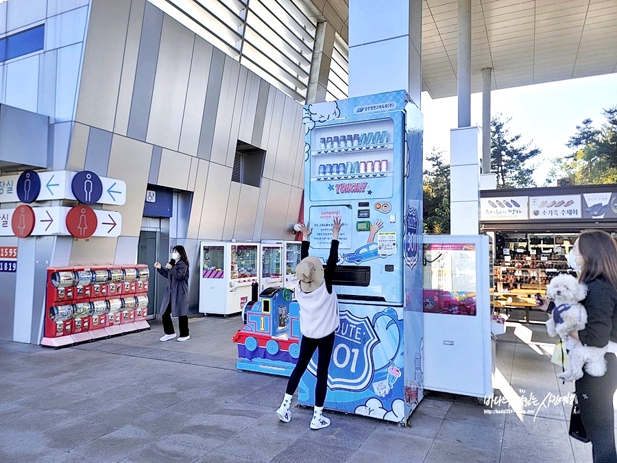 낙동강 휴게소(의성) 자이언트 점핑 자판기 재미나요(속리산 여행)