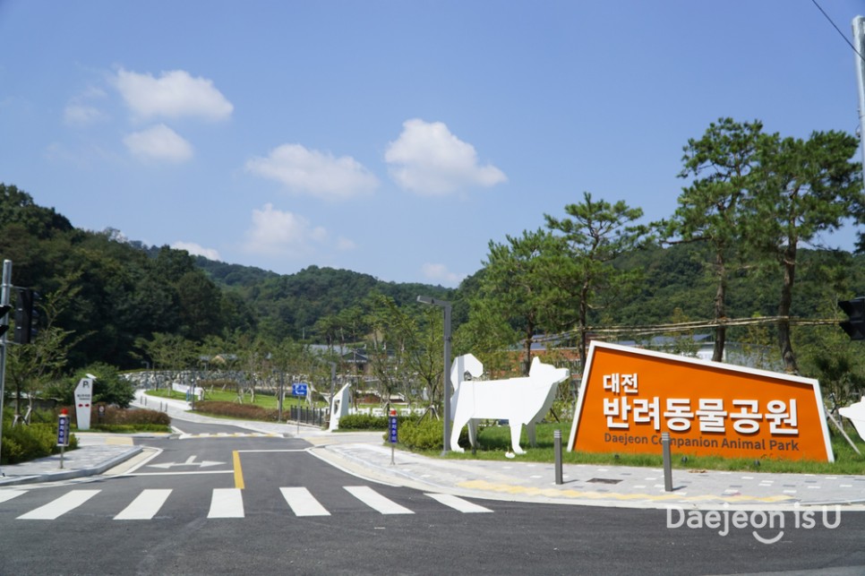 반려동물들의 천국, 대전반려동물공원(feat. 대전 반려동물 문화 축재)