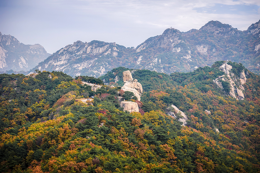 북한산 등산코스 불광역 출발 비봉 찍고 금선사 하산 노선 및 북한산 단풍 개화 상태