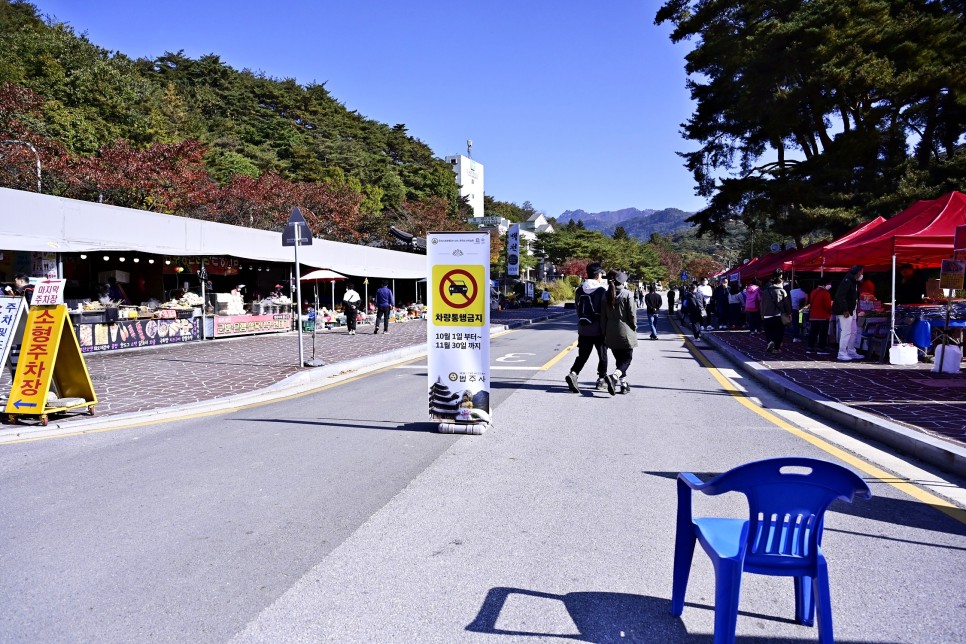 가을 단풍명소 여행 속리산 세조길 법주사 주차장 정보