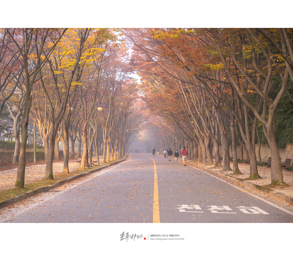 가을 여행지 추천 가을 단풍명소 인천 놀만한곳 인천대공원