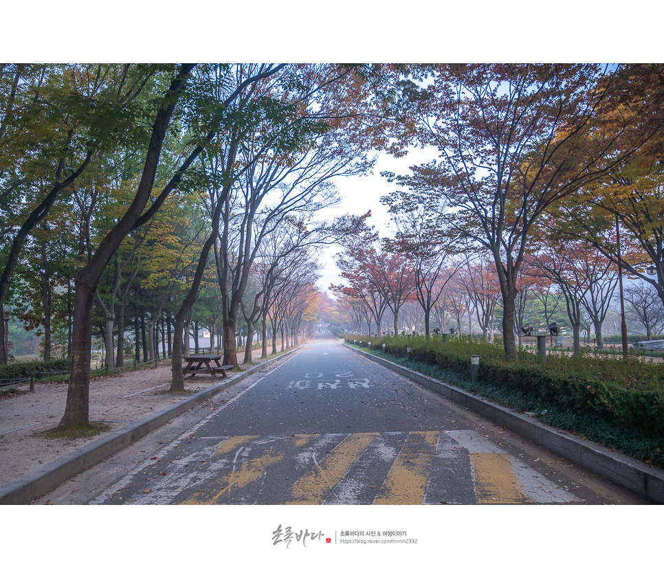 가을 여행지 추천 가을 단풍명소 인천 놀만한곳 인천대공원