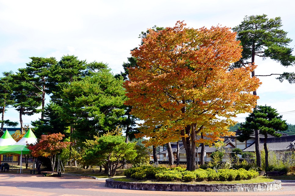 강릉 여행 코스 1박2일 관광지 볼거리 먹거리 7