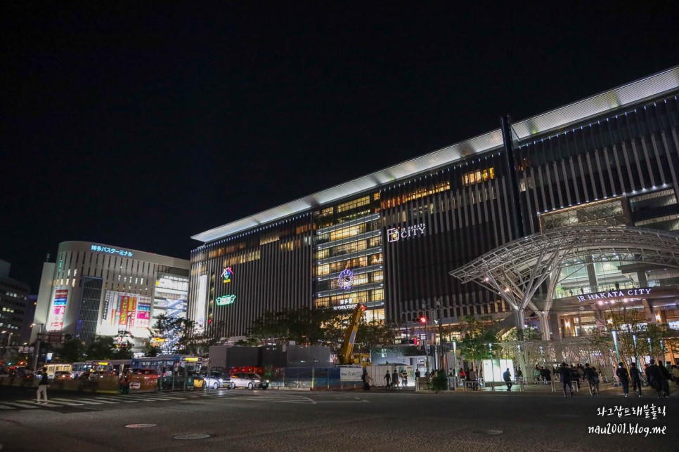 일본 포켓 와이파이 도시락로 후쿠오카 여행 실시간 후기