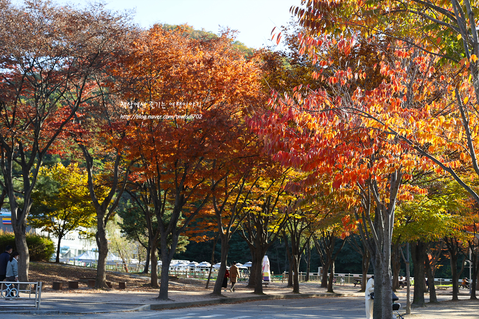 인천 단풍 구경 명소 인천대공원 서울근교 나들이