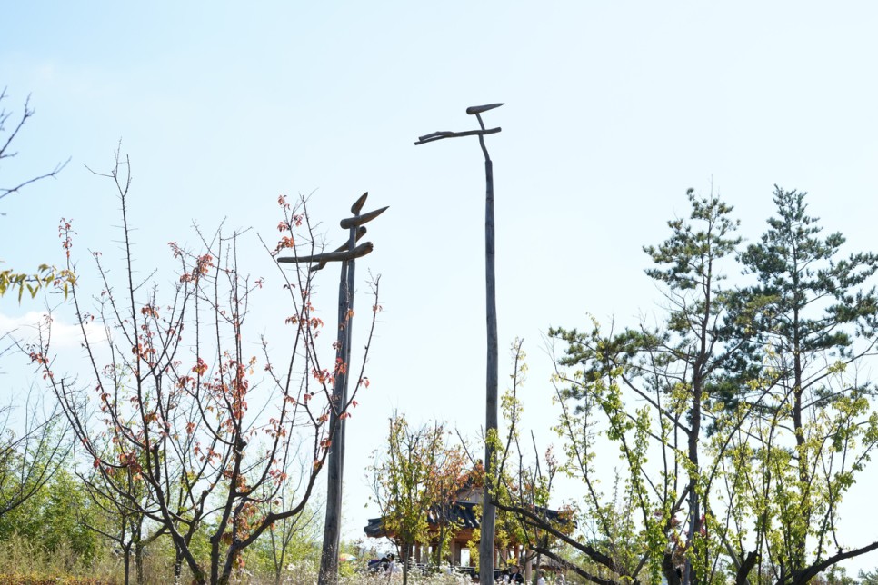 충청도 가볼만한곳 세종 가을 여행지 추천 국립세종수목원