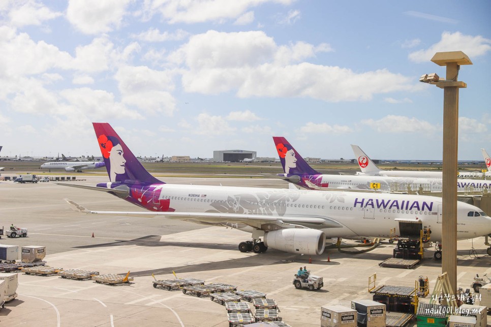 하와이 항공권 호놀룰루 빅아일랜드 하와이섬 국내선 이동