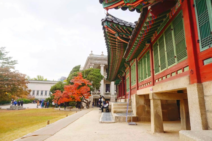 가을 서울 단풍 명소 덕수궁 돌담길 투어 석조전 야간개장 정보