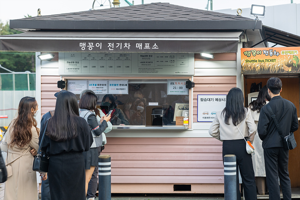 10월 가을 축제 서울 상암 하늘공원 억새축제 맹꽁이 전동차