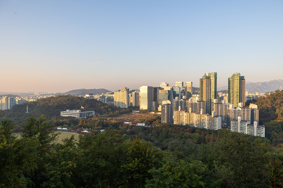 10월 가을 축제 서울 상암 하늘공원 억새축제 맹꽁이 전동차