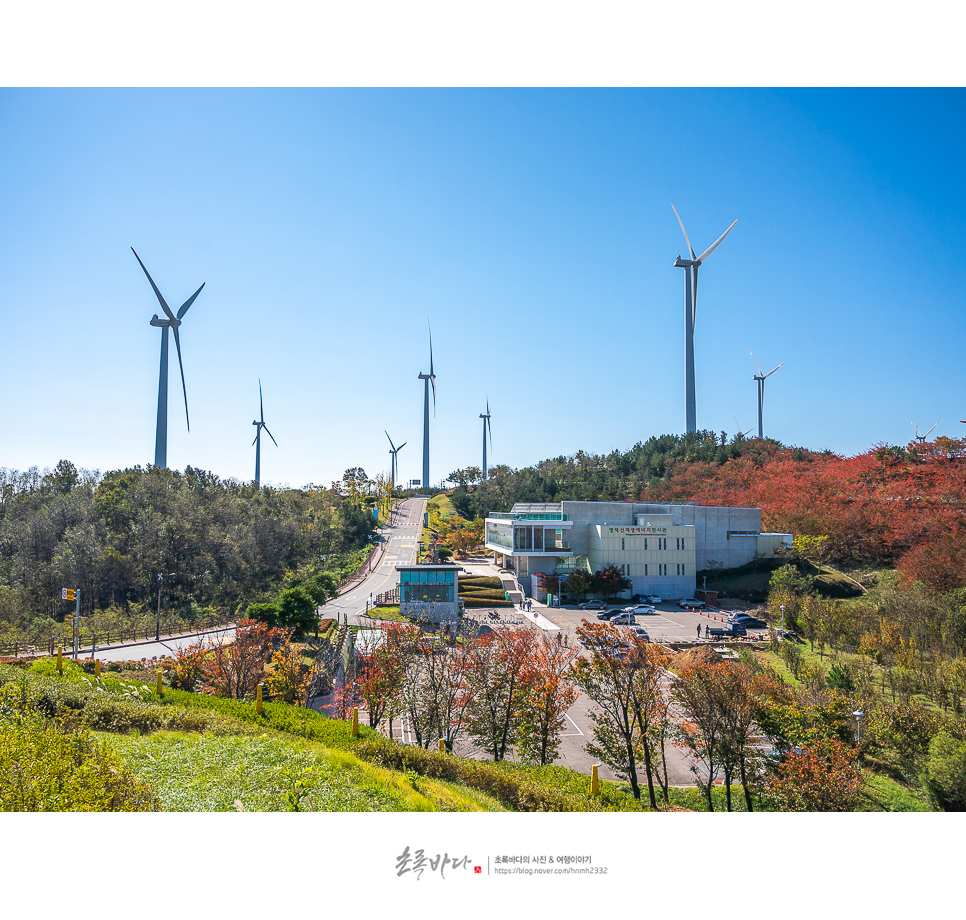 1박2일 영덕 가볼만한곳 경북 영덕 여행 코스 먹거리 등