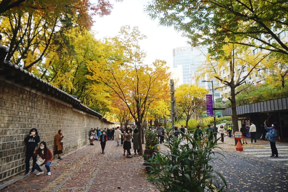 가을 서울 단풍 명소 덕수궁 돌담길 투어 석조전 야간개장 정보