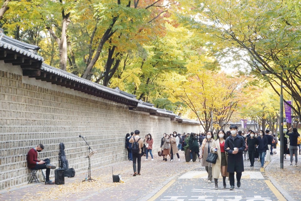 가을 서울 단풍 명소 덕수궁 돌담길 투어 석조전 야간개장 정보