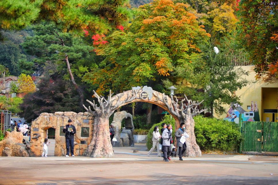 과천 서울대공원 동물원 입장료 리프트 할인 방법 with 코끼리열차