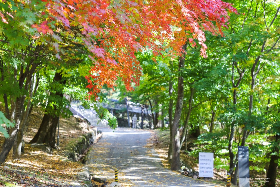 경남 합천 여행 사찰 절 소리길 가야산 웰니스여행 경남 여행지 추천