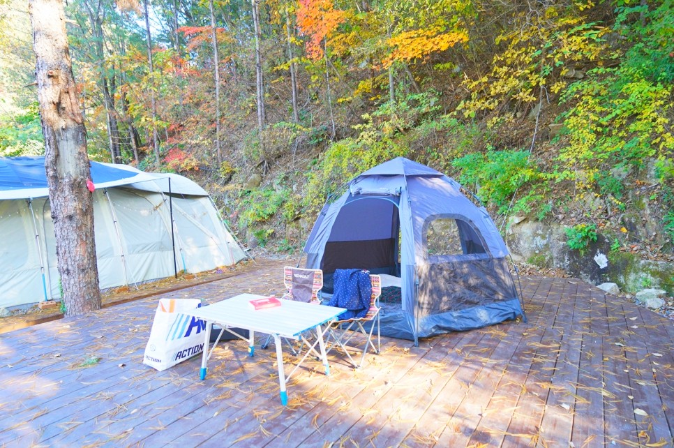 영월 가볼만한곳 강원도 영월 여행 캠핑장 숲속의 아침