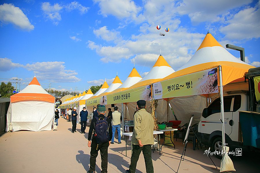 가을 축제 2022연천 율무축제 농특산물 큰장터 국내 축제