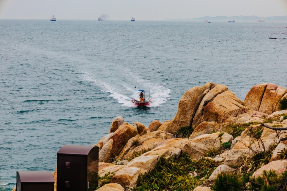 울산 가볼만한곳 대왕암공원 출렁다리까지 볼거리 많음