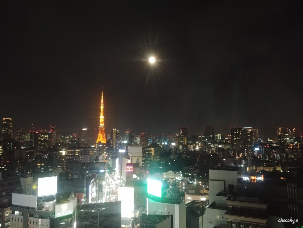 도쿄 호텔 추천 도쿄타워 보이는 렘롯폰기 포함 위치별 숙소 리스트