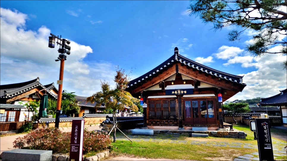 경주 여행 갈만한곳 경주핫플 황리단길 첨성대 핑크뮬리  가을 여행지 추천!