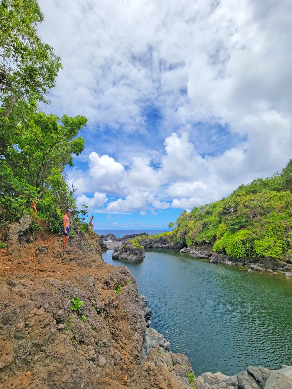 하와이 여행 코스 진심 꼭 가봐야하는 마우이 하나 지역 숙소,맛집,관광지 정리