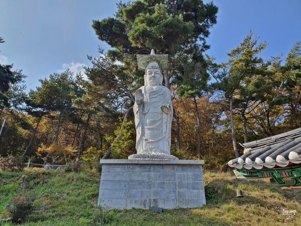 동백꽃 필 무렵 촬영지 포항 가볼만한곳 구룡포 일본인 가옥거리 & 포항 카페!