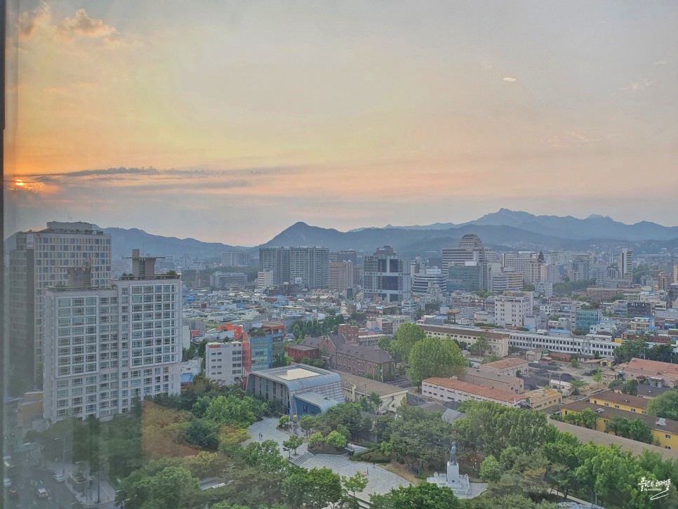 동백꽃 필 무렵 촬영지 포항 가볼만한곳 구룡포 일본인 가옥거리 & 포항 카페!