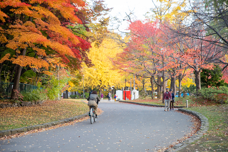 일본 단풍여행 삿포로 여행 단풍구경하기 좋은 나카지마 공원