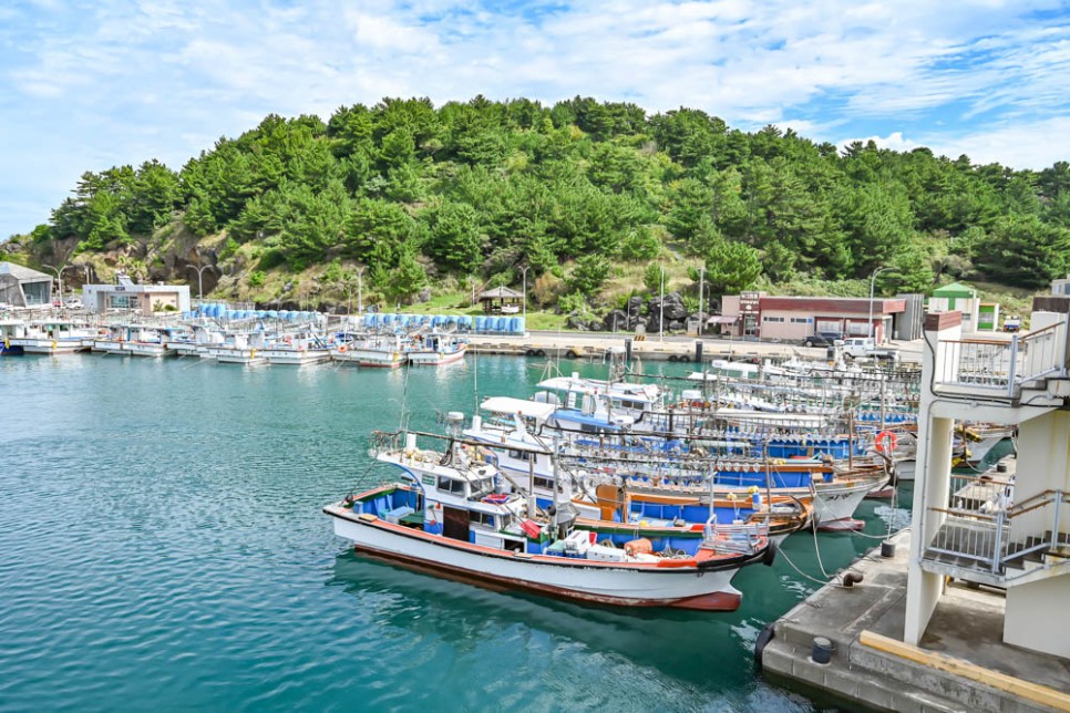 제주도 아이와 가볼만한곳 제주 여행 코스 제주도체험 추천