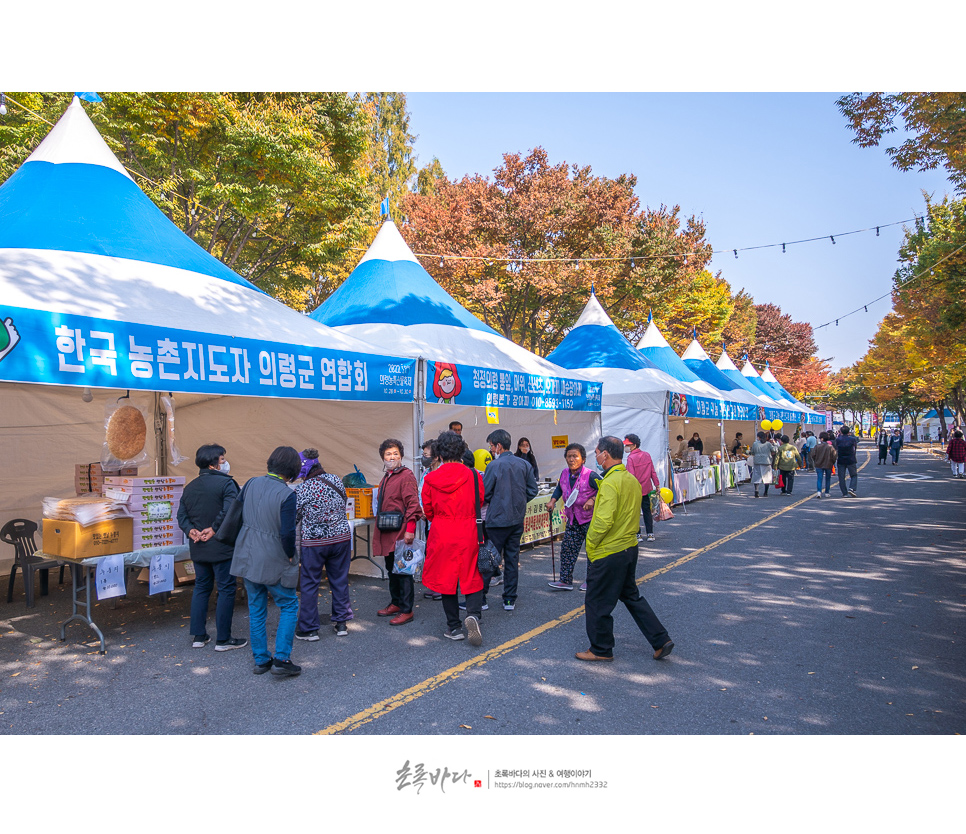 경남 의령 가볼만한곳 국내 축제 리치리치페스티벌 부자축제