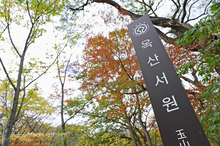 가을 가볼만한곳 경주 단풍시기 세심대 경주 계곡 가을여행