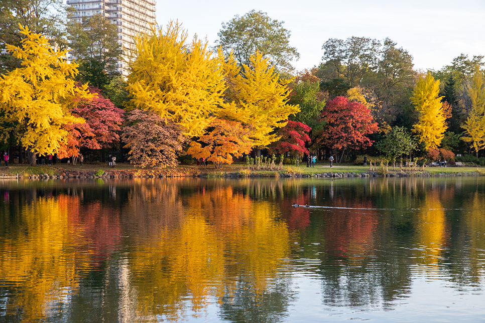 일본 단풍여행 삿포로 여행 단풍구경하기 좋은 나카지마 공원