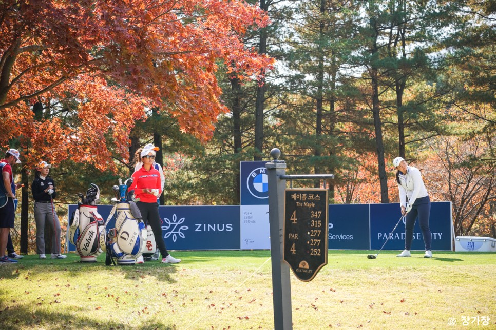 지누스침대가 후원한 LPGA BMW레이디스 챔피언십 갤러리 후기