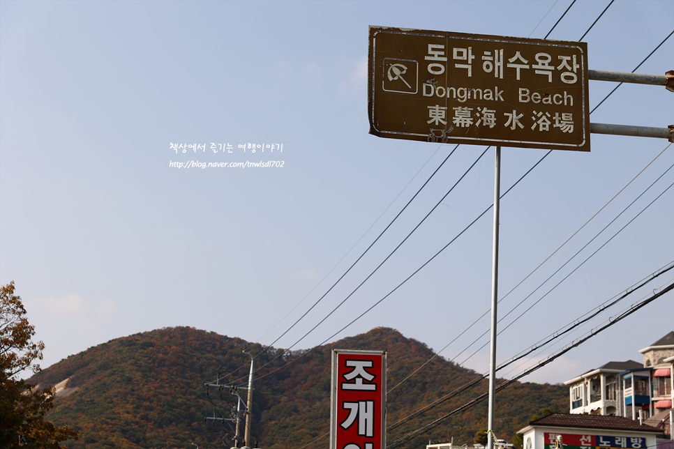 인천 강화도 해수욕장 볼거리 동막해변 갯벌 바닷가 주차